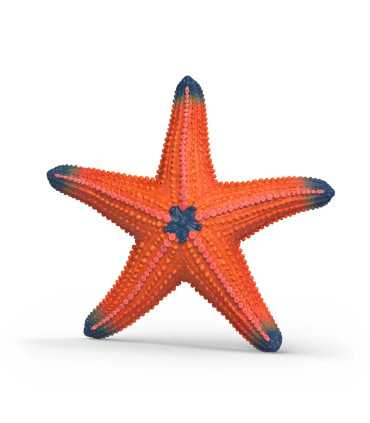Estrella de mar que cambia de color
