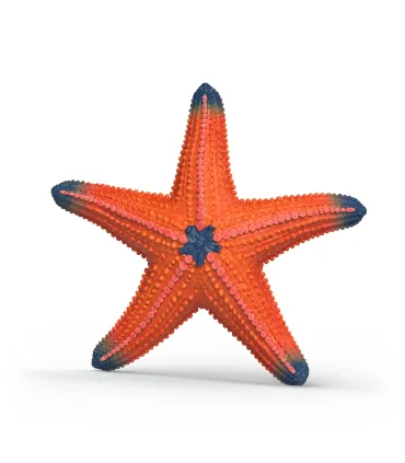 Estrella de mar que cambia de color