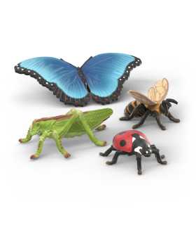 Set de exploradores de insectos