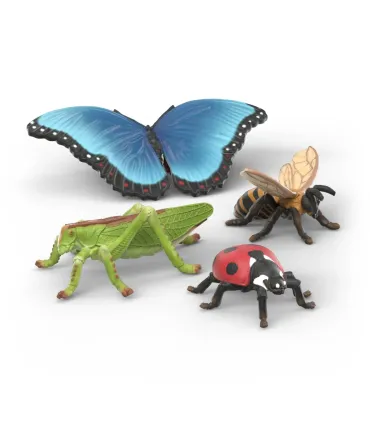 Set de exploradores de insectos