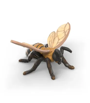 Set de exploradores de insectos