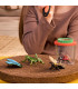 Set de exploradores de insectos