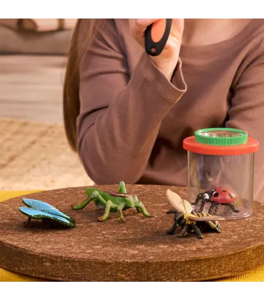 Set de exploradores de insectos