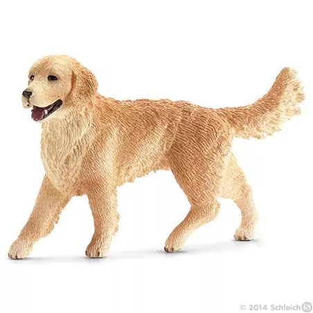 Perro cobrador dorado hembra