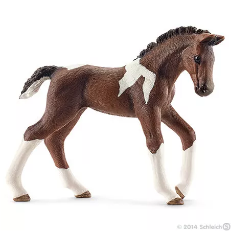 Potro Trakehner
