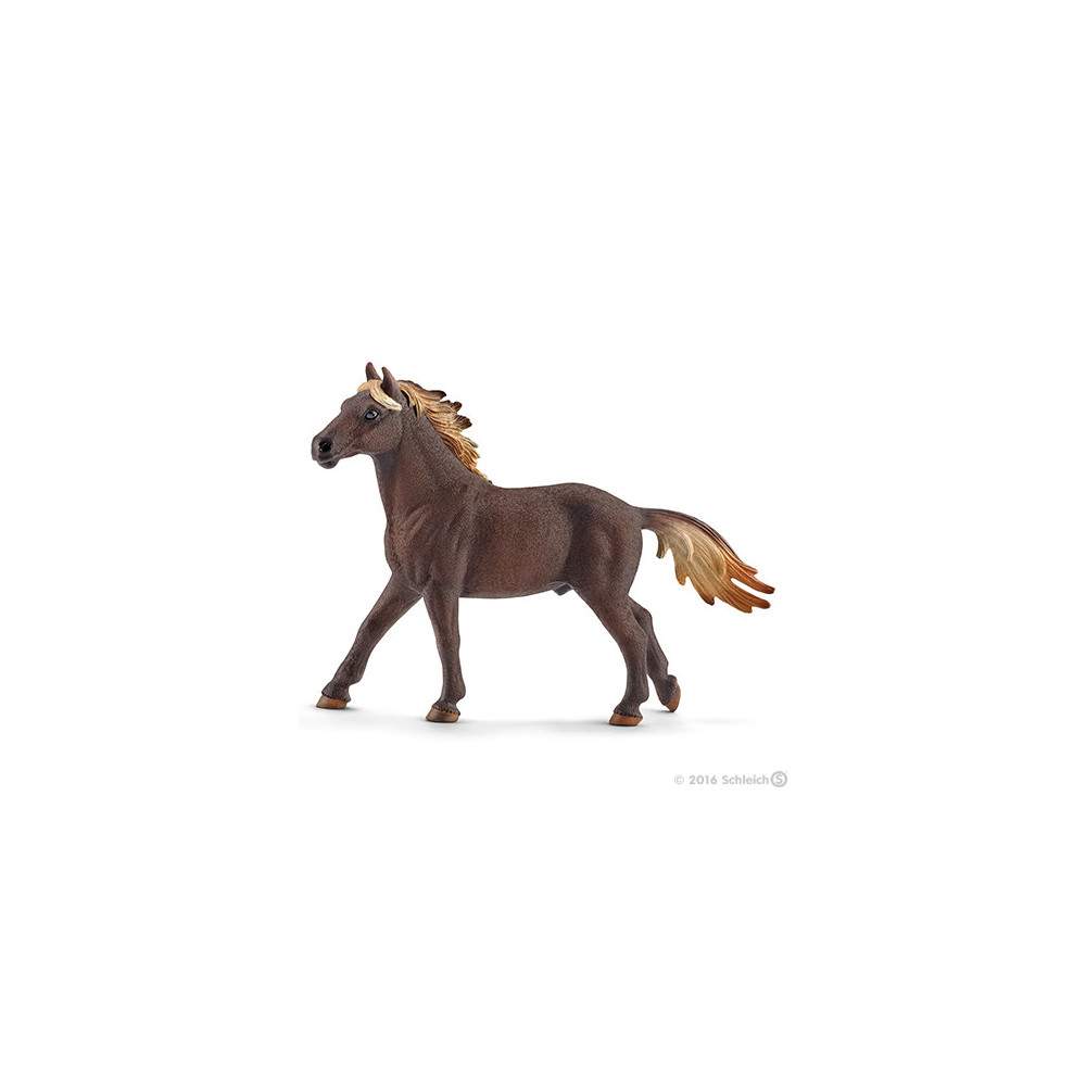 Semental Mustang