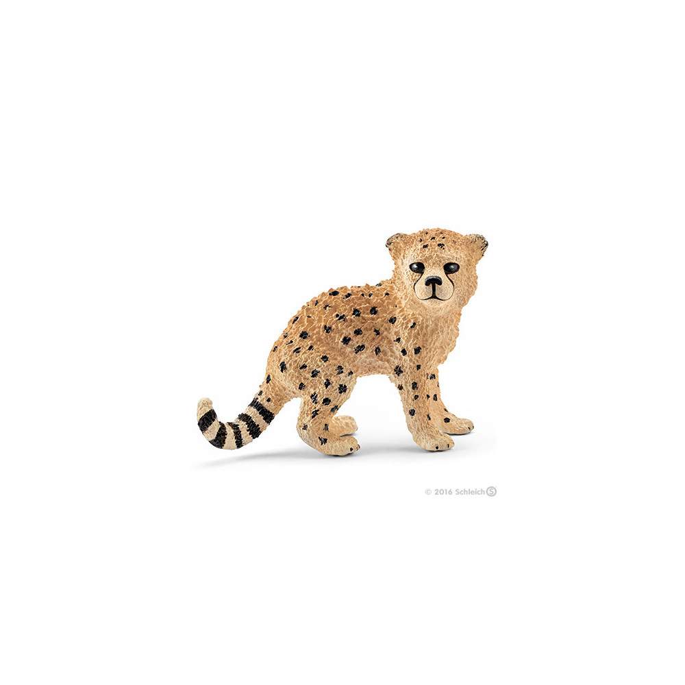 Cría de guepardo