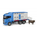 Scania R-Serie - LKW transporte de ganado con buey - escala 1:16