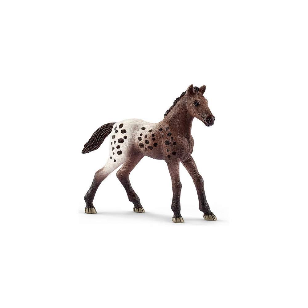 Potro Appaloosa