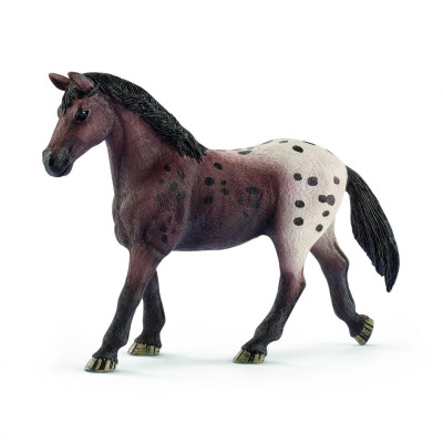 Yegua Appaloosa