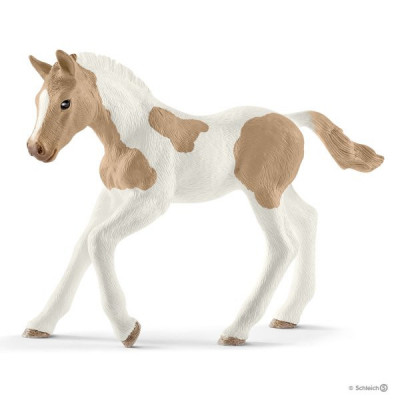 Potro Paint Horse