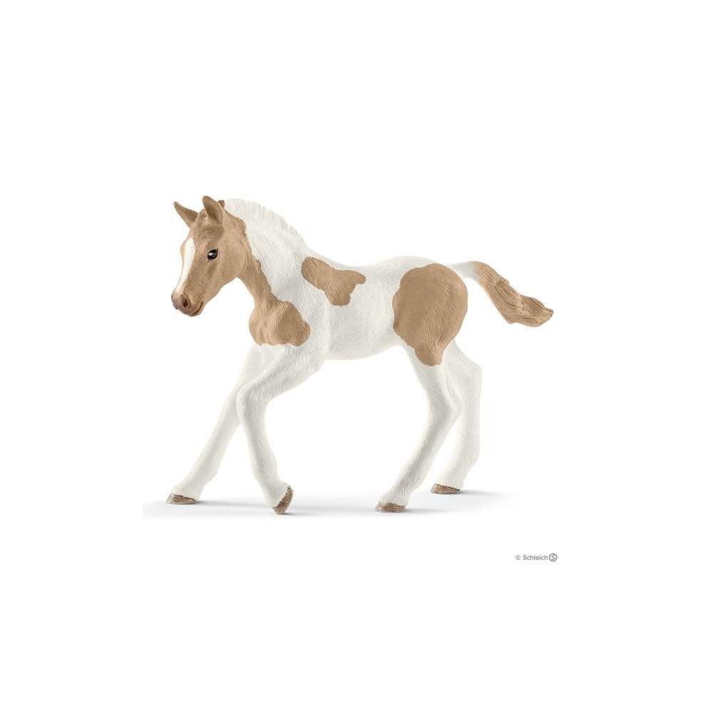 Potro Paint Horse