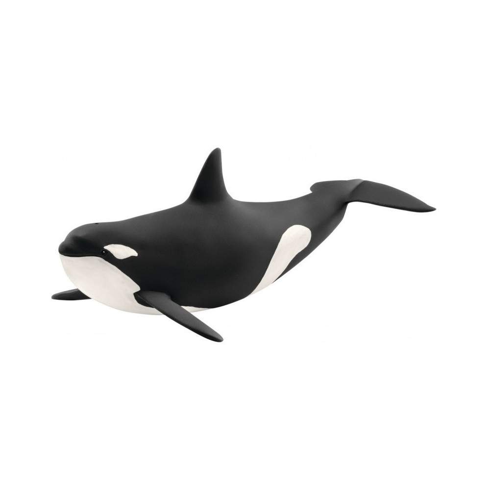 Orca