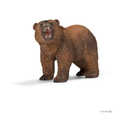 Oso grizzly