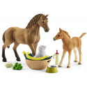 Set de cuidado de crías de Horse Club Sarah de Schleich con figura articulada, potro y accesorios de alimentación.
