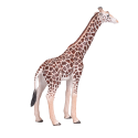 Figura realista de jirafa macho marca Mojo pintada a mano para coleccionar y jugar.