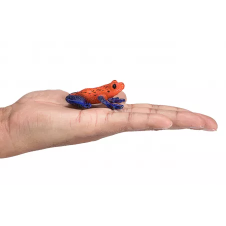 Figura coleccionable y realista de rana dardo venenoso con colores vibrantes para decoración.