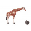 Figura de juguete realista de jirafa hembra para colección y juego educativo infantil.