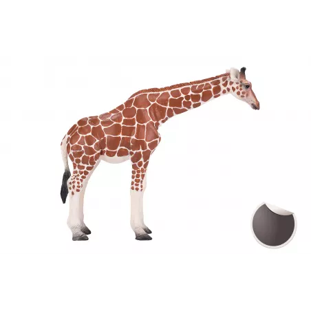 Figura de juguete realista de jirafa hembra para colección y juego educativo infantil.