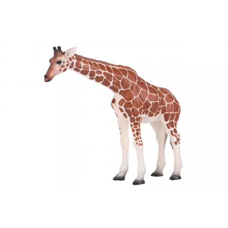 Figura de juguete realista de jirafa hembra para colección y juego educativo infantil.