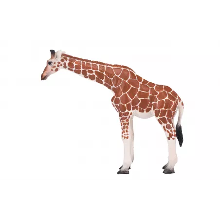 Figura de juguete realista de jirafa hembra para colección y juego educativo infantil.