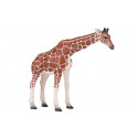 Figura de juguete realista de jirafa hembra para colección y juego educativo infantil.