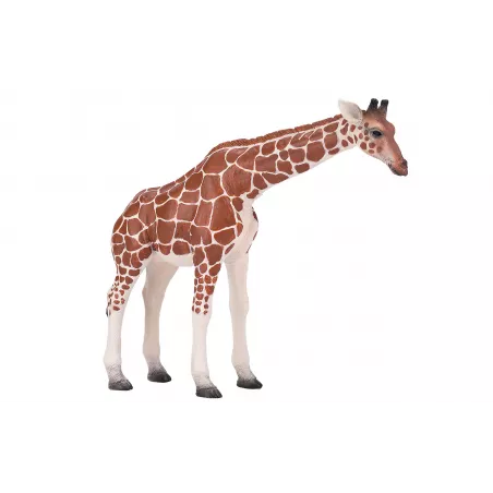 Figura de juguete realista de jirafa hembra para colección y juego educativo infantil.
