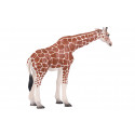 Figura de juguete realista de jirafa hembra para colección y juego educativo infantil.