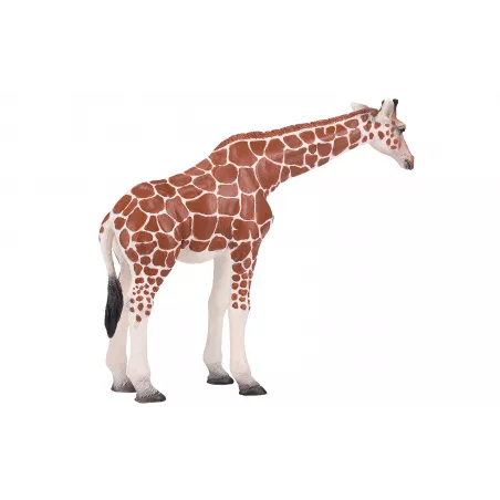 Figura de juguete realista de jirafa hembra para colección y juego educativo infantil.