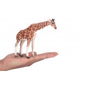 Figura de juguete realista de jirafa hembra para colección y juego educativo infantil.