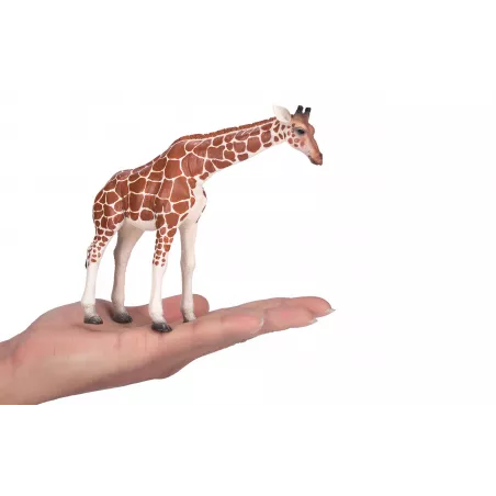 Figura de juguete realista de jirafa hembra para colección y juego educativo infantil.