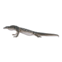 Figura realista de lagarto perentie de 15 cm, varano australiano de colección y decoración.