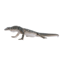 Figura realista de lagarto perentie de 15 cm, varano australiano de colección y decoración.