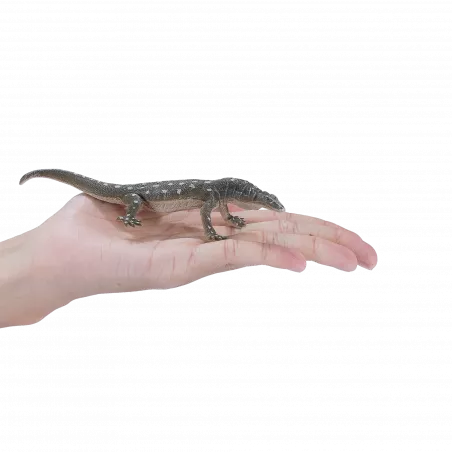 Figura realista de lagarto perentie de 15 cm, varano australiano de colección y decoración.