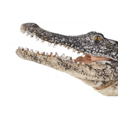 Figura de cocodrilo de juguete Mojo con mandíbula detallada pintada a mano para coleccionistas.