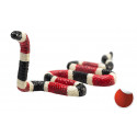 Figura detallada de serpiente coral con colores vibrantes y diseño realista educativo