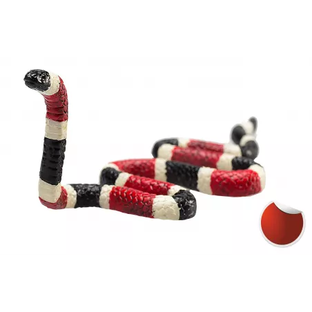Figura detallada de serpiente coral con colores vibrantes y diseño realista educativo