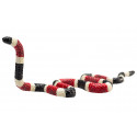 Figura detallada de serpiente coral con colores vibrantes y diseño realista educativo