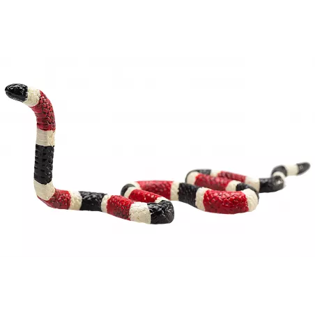 Figura detallada de serpiente coral con colores vibrantes y diseño realista educativo