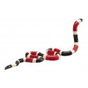Figura detallada de serpiente coral con colores vibrantes y diseño realista educativo
