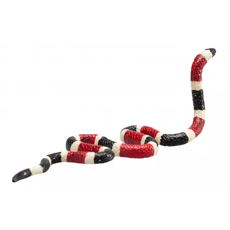 Figura detallada de serpiente coral con colores vibrantes y diseño realista educativo