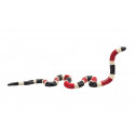 Figura detallada de serpiente coral con colores vibrantes y diseño realista educativo
