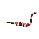 Figura detallada de serpiente coral con colores vibrantes y diseño realista educativo