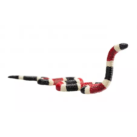 Figura detallada de serpiente coral con colores vibrantes y diseño realista educativo