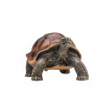 Figura realista de tortuga gigante de Mojo pintada a mano para decoración y coleccionistas