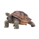 Figura realista de tortuga gigante de Mojo pintada a mano para decoración y coleccionistas