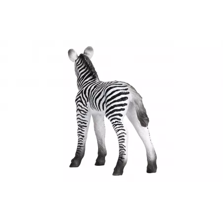 Figura de potro cebra de juguete realista de la colección Mojo para niños y coleccionistas.