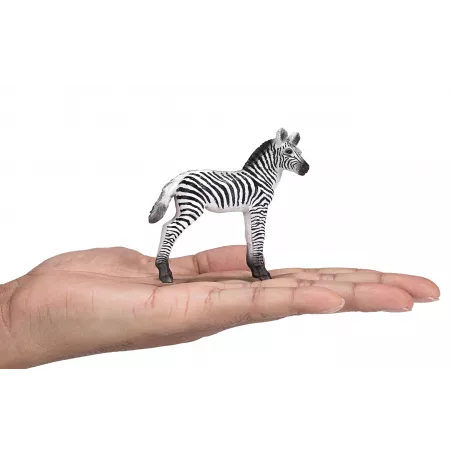Figura de potro cebra de juguete realista de la colección Mojo para niños y coleccionistas.