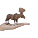 Figura decorativa y realista de alce europeo para coleccionistas de fauna.